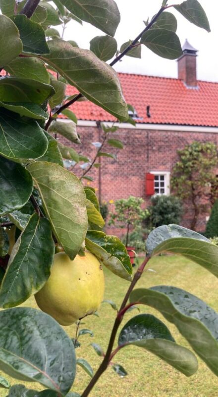 Food Tour Den Haag